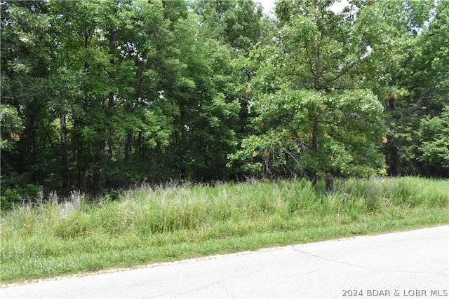 Listing photo 3 for LOT1069 Champions Run, Sunrise Beach MO 65079