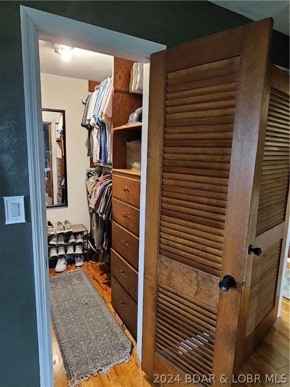 spacious closet featuring wood-type flooring