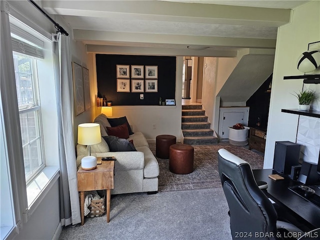 living room featuring carpet flooring