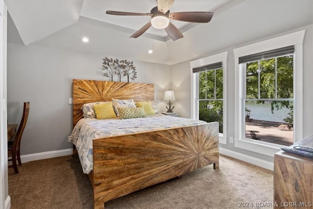 bedroom with a raised ceiling, ceiling fan, and carpet flooring