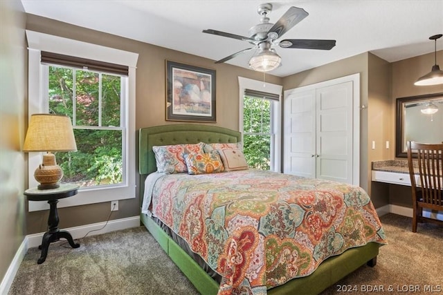 carpeted bedroom with ceiling fan, a closet, and multiple windows