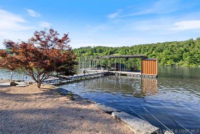 dock area with a water view