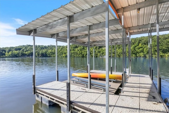 dock area with a water view