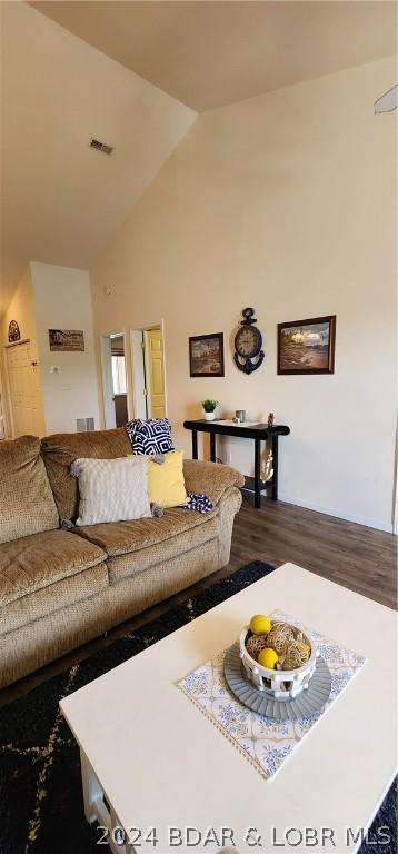 living room featuring hardwood / wood-style floors and high vaulted ceiling