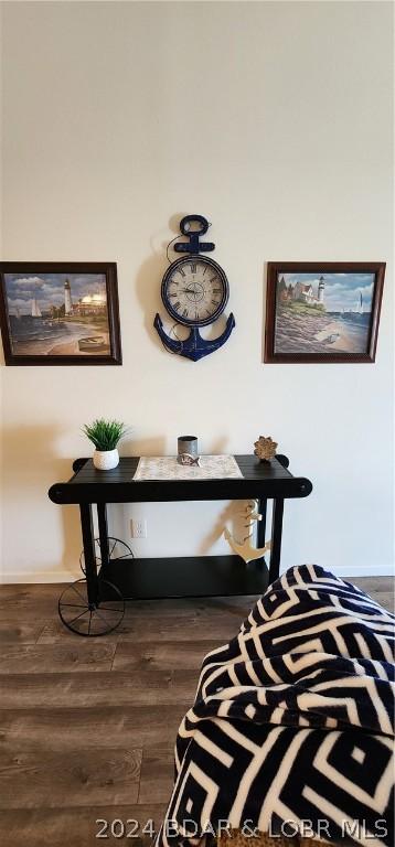 room details featuring hardwood / wood-style floors