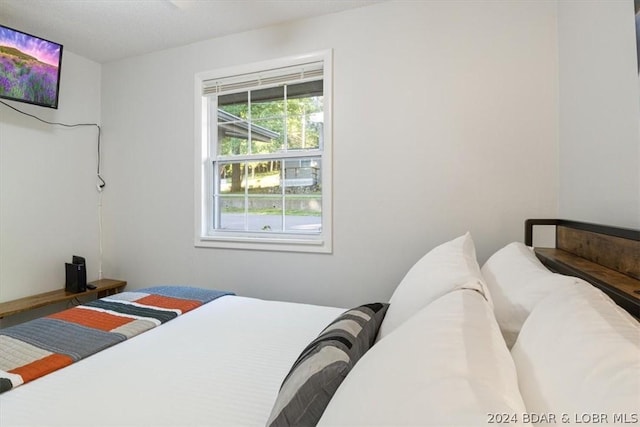 1465 Easy St, Osage Beach, MO 65065 - view of bedroom