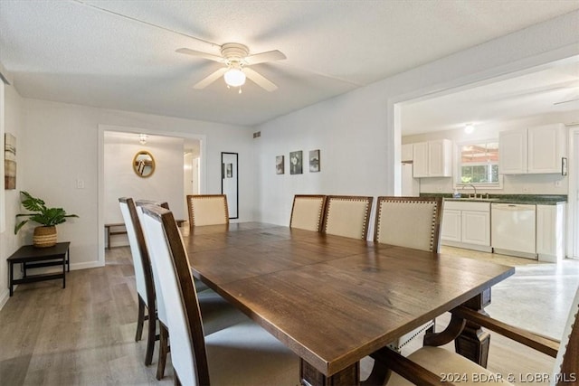 dining area with ceiling fan, light hardwood / wood-style floors, sink, and a textured ceiling