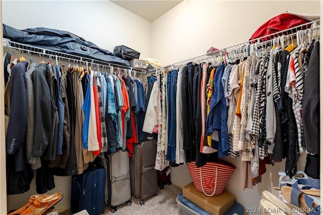 spacious closet with carpet flooring