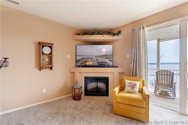 living area featuring a fireplace and carpet flooring