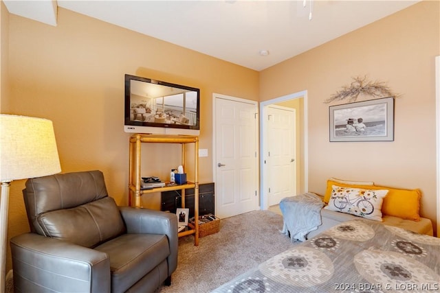 sitting room featuring carpet