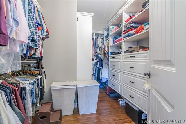 walk in closet featuring dark hardwood / wood-style flooring