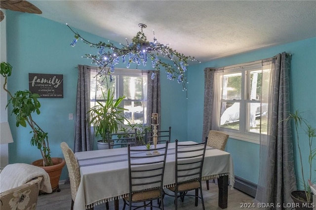 dining room featuring baseboard heating and a wealth of natural light