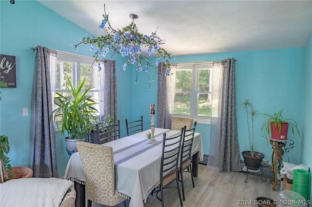 dining space featuring lofted ceiling, a textured ceiling, hardwood / wood-style floors, and plenty of natural light