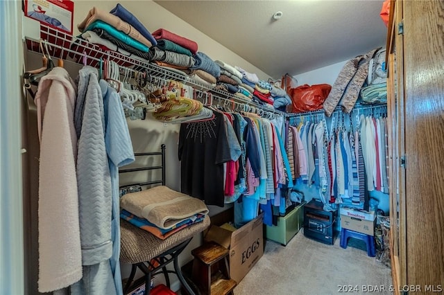 spacious closet featuring lofted ceiling and light carpet