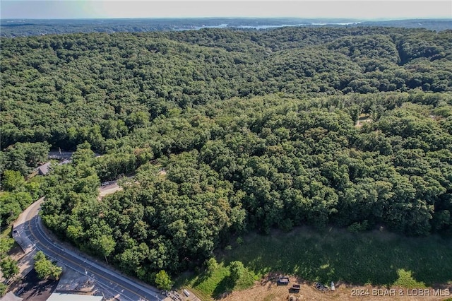 LOT124 Terry Rd, Four Seasons, MO 65049