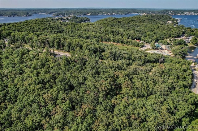 LOT124 Terry Rd, Four Seasons, MO 65049
