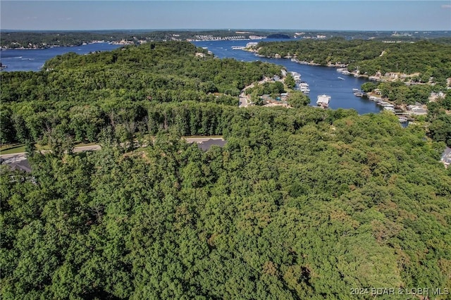 LOT124 Terry Rd, Four Seasons, MO 65049
