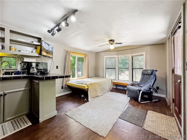 bedroom with sink, vaulted ceiling, ceiling fan, a textured ceiling, and dark hardwood / wood-style flooring