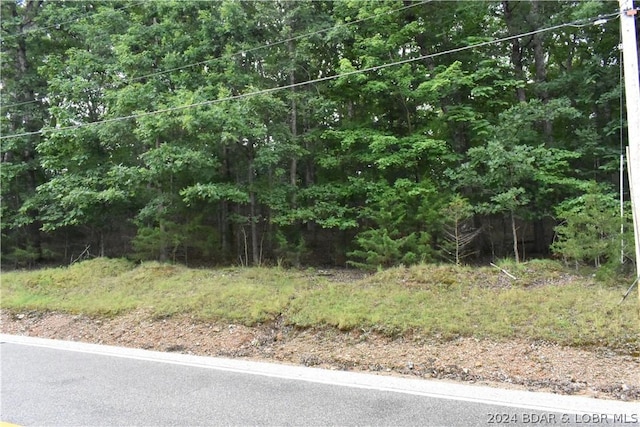 LOT55 Susan Rd, Lake Ozark MO, 65049 land for sale