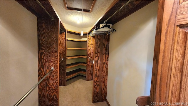 spacious closet with carpet floors