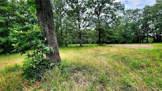 view of local wilderness