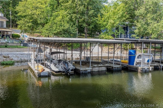 dock area with a water view