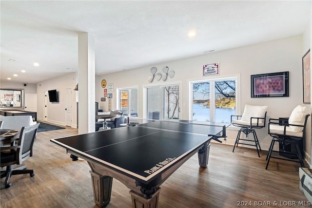 recreation room featuring plenty of natural light and hardwood / wood-style floors