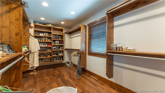 walk in closet with wood-type flooring