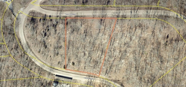 Eagle Ter, Gravois Mills, MO 65037 - photo 2