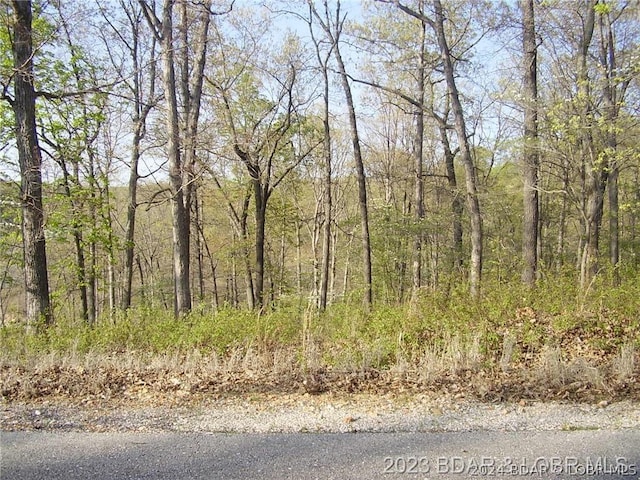 Eagle Ter, Gravois Mills, MO 65037 - photo 3