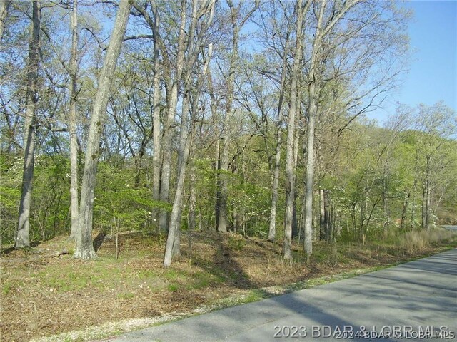 Eagle Ter, Gravois Mills, MO 65037 - photo 4