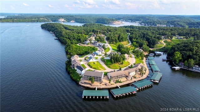 bird's eye view with a water view and a view of trees