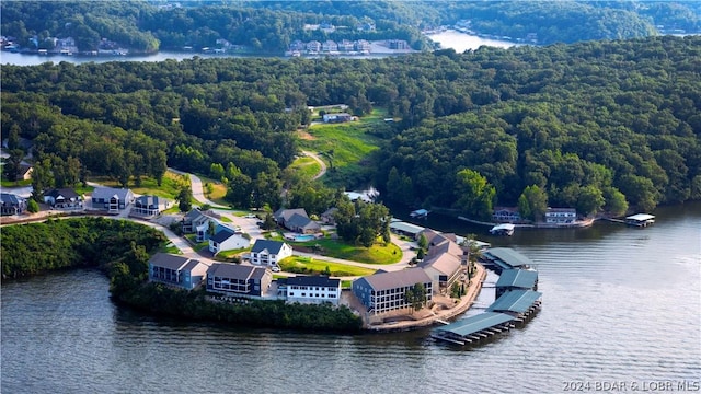 bird's eye view featuring a water view and a view of trees