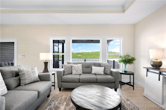 living room with light wood-type flooring and baseboards