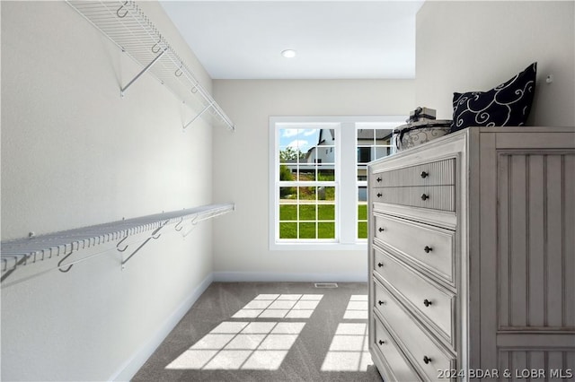 spacious closet with visible vents and carpet flooring