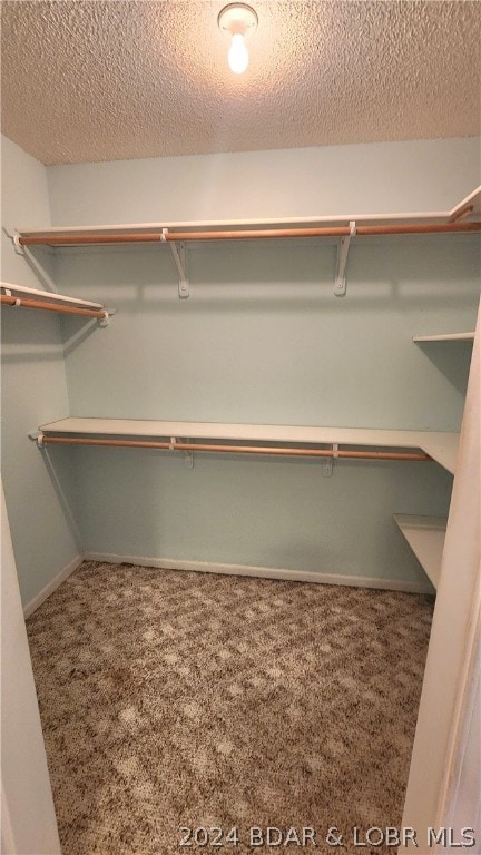 walk in closet with carpet floors