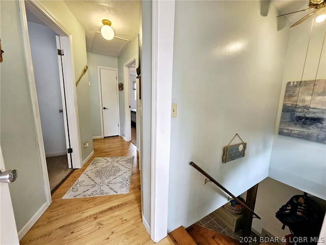 corridor featuring light hardwood / wood-style floors