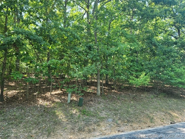 LOT340 Austin Cir, Four Seasons MO, 65049 land for sale