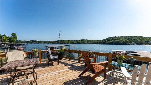 dock area with a water view