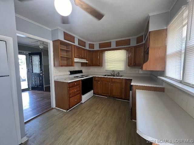 kitchen featuring white stove, wood-type flooring, a wealth of natural light, and ceiling fan