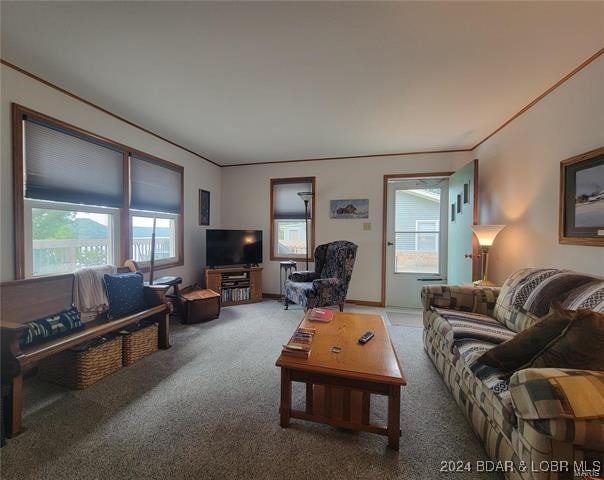 living room featuring carpet flooring and crown molding