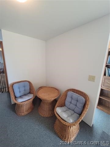 sitting room with carpet flooring