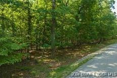 Listing photo 2 for 313 Grand Point Blvd, Porto Cima MO 65079