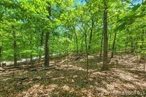 Listing photo 3 for 313 Grand Point Blvd, Porto Cima MO 65079