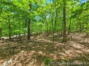 Listing photo 3 for 334 Grand Point Blvd, Porto Cima MO 65079