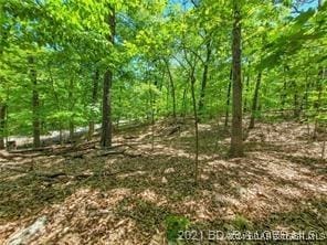 Listing photo 3 for 334 Grand Point Blvd, Porto Cima MO 65079