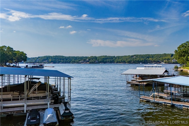 dock area with a water view