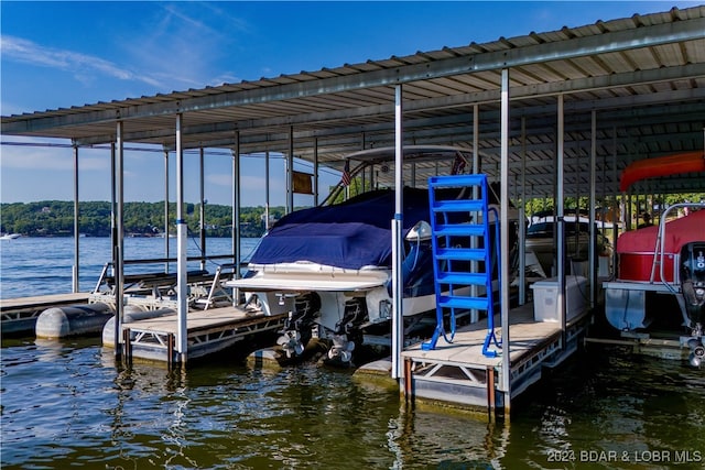 dock area with a water view