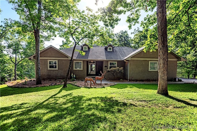 back of house with a yard