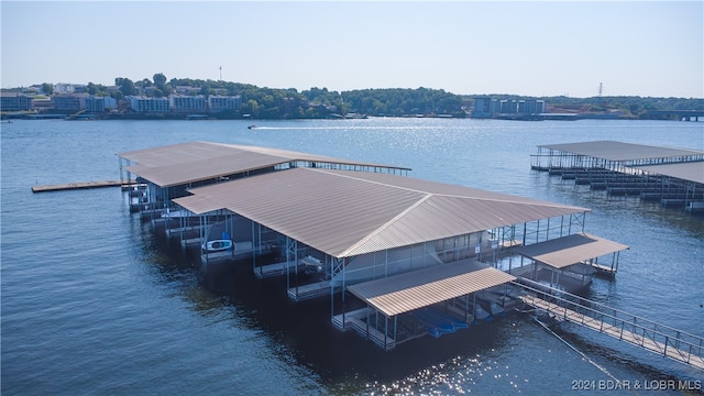 dock area with a water view